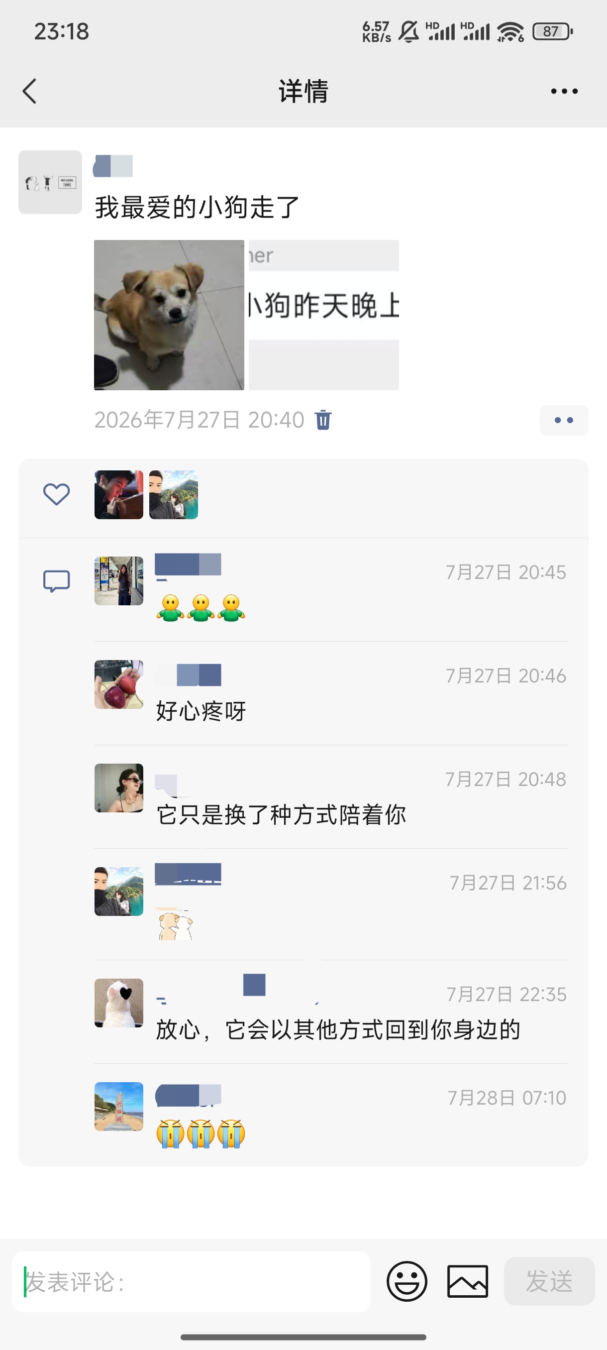 爱犬照片 1